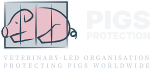 pigs protection horizontal tagline light rgb.webp