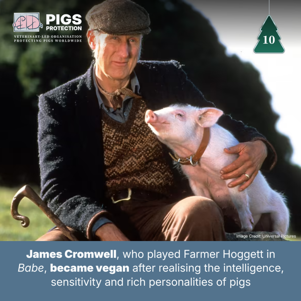 10th december switch