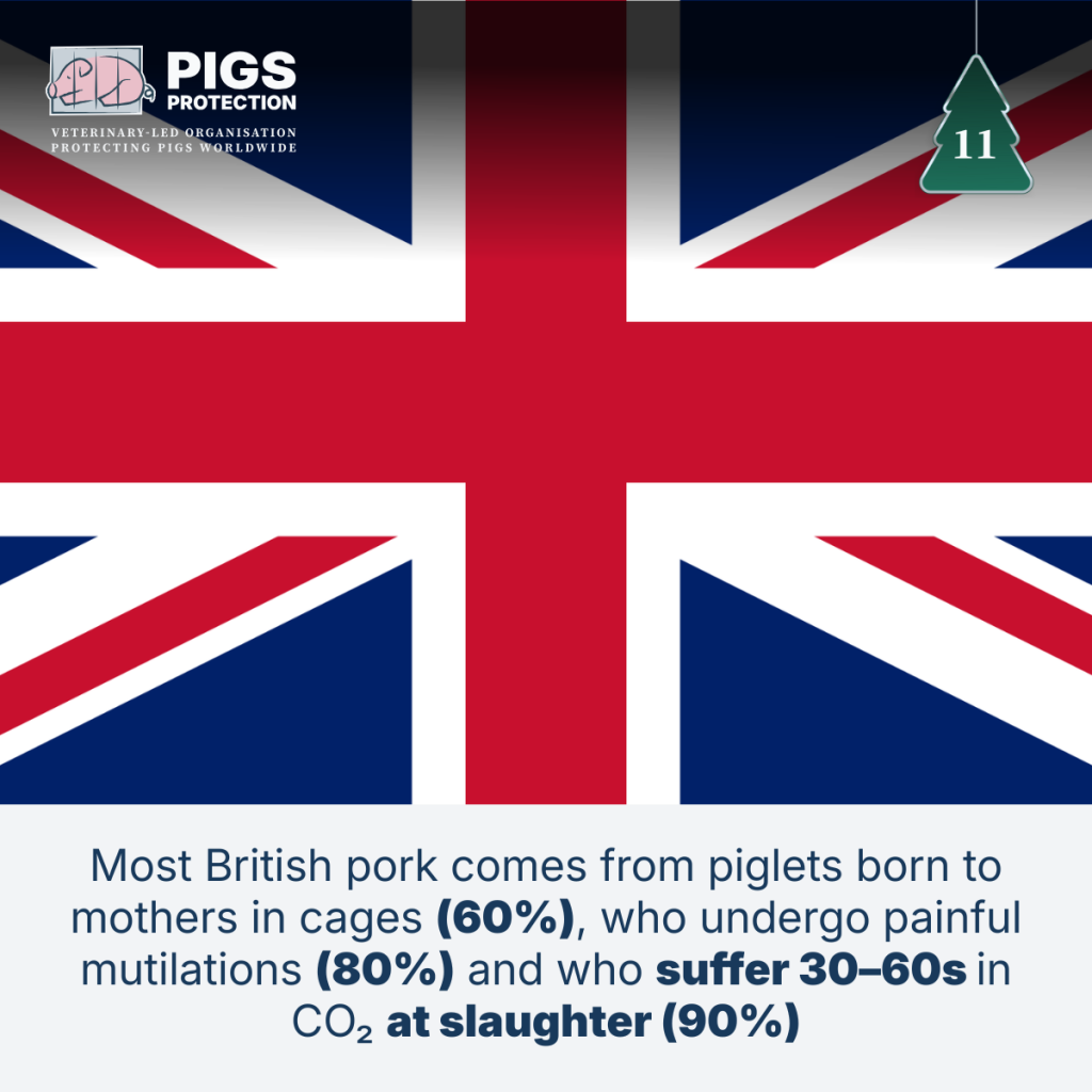 11th december switched