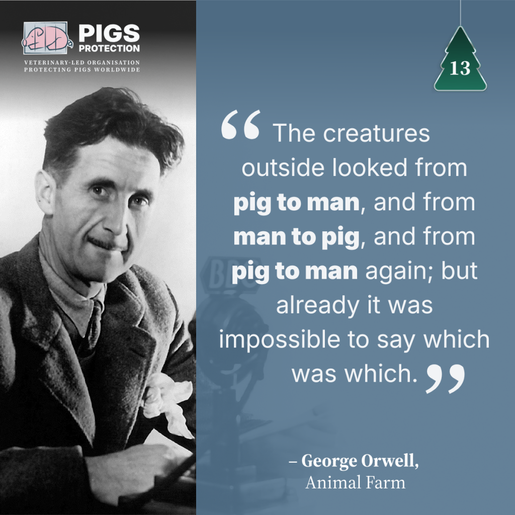 13th december switch