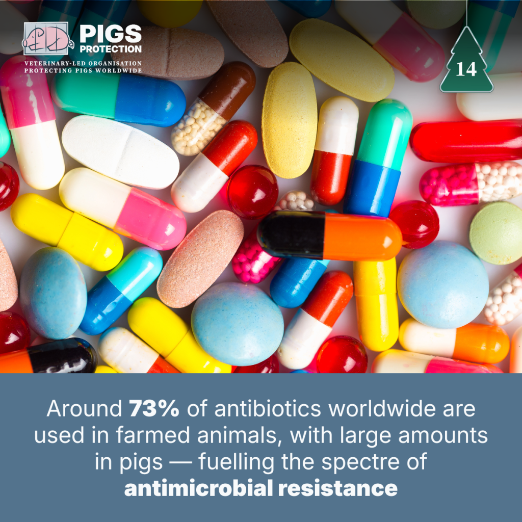 14th december switch