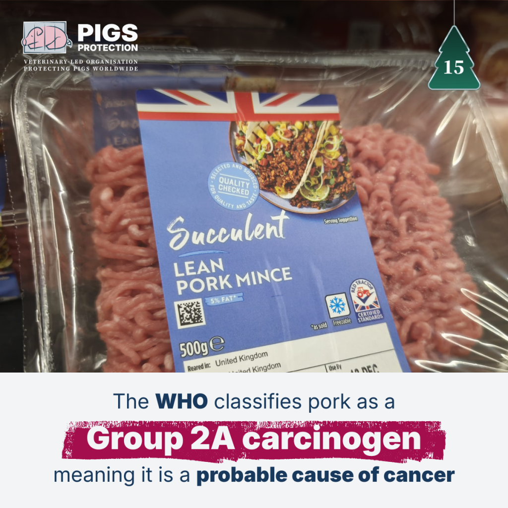 15th december switch