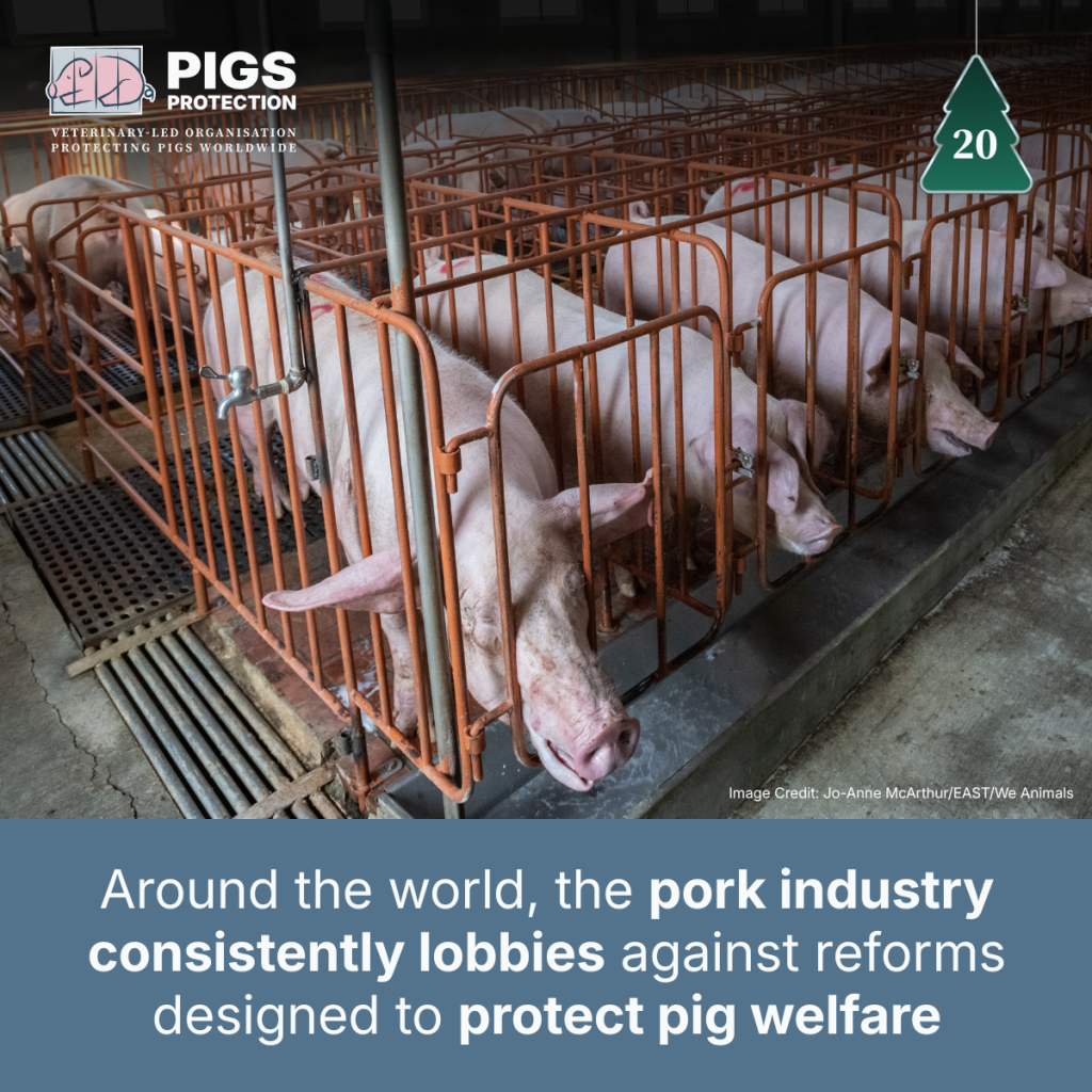 20th december switch