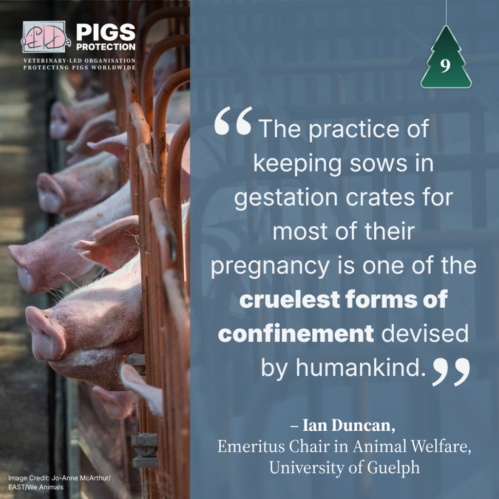 9th december switched